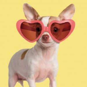 Meet your Posher, Christine